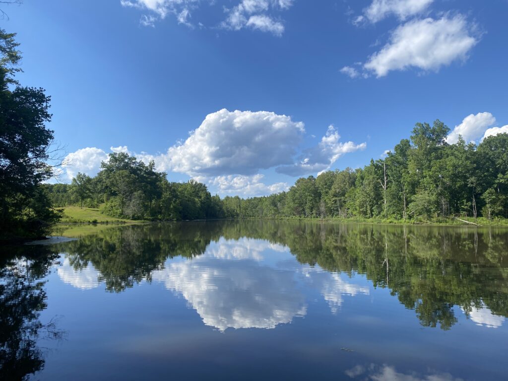 Reflecting on Secondary Losses