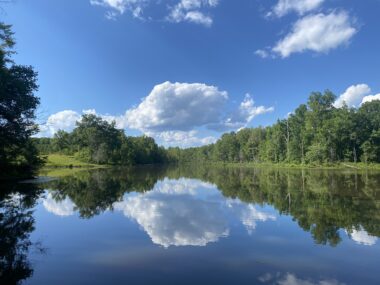 Reflecting on Secondary Losses