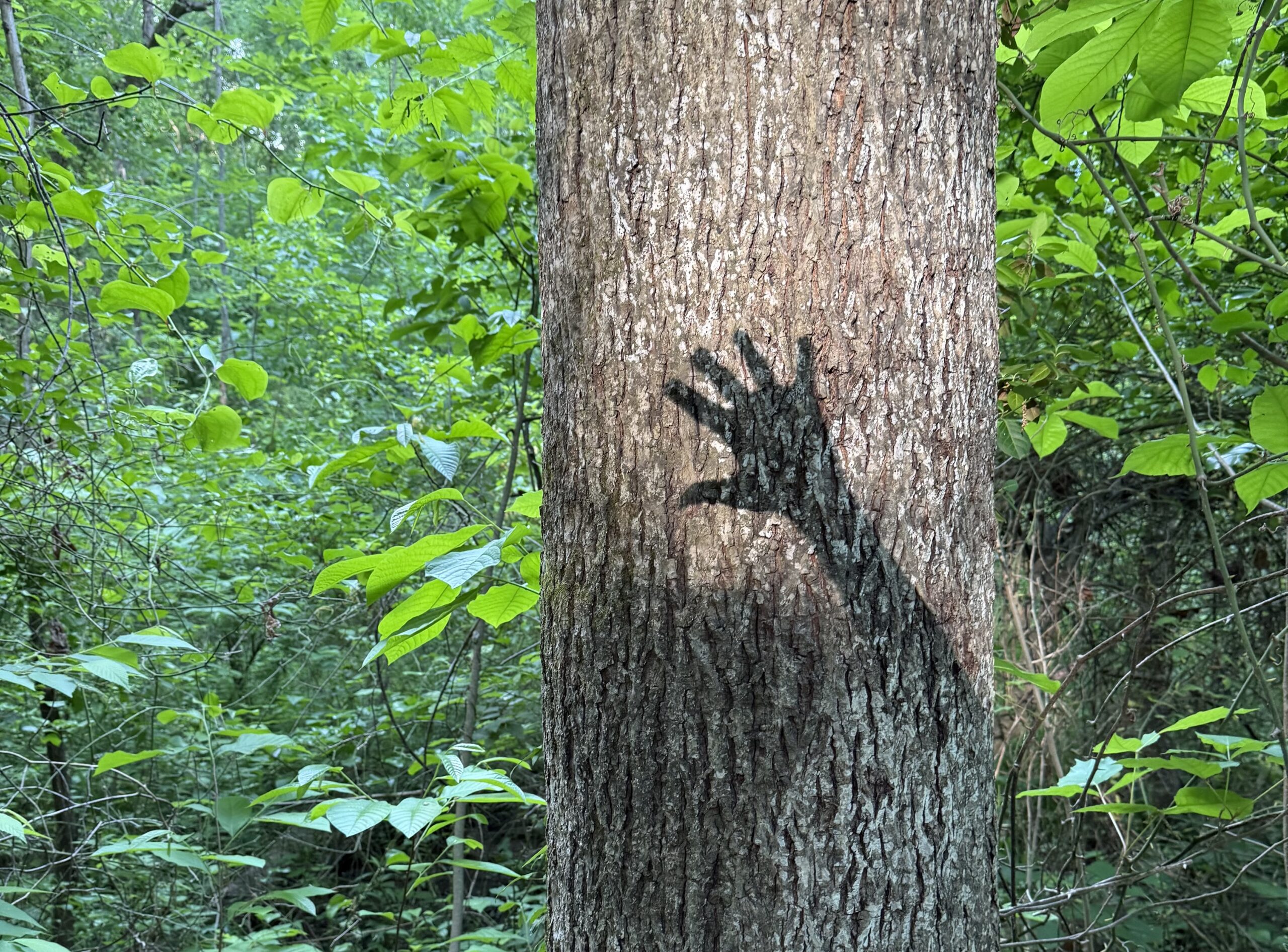 I give myself permission to grieve