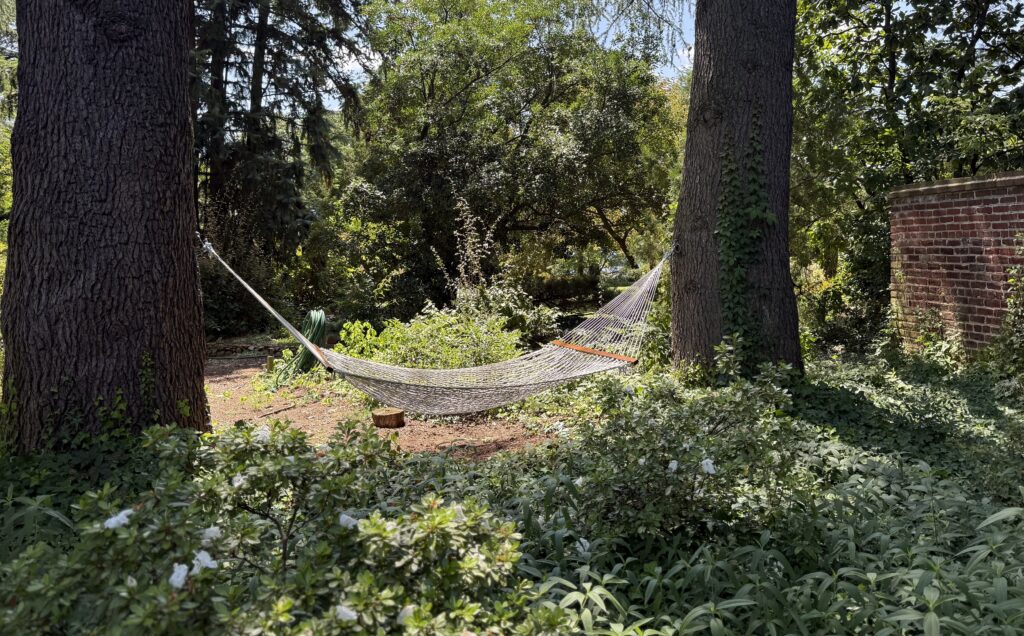 Taking time to be in your grief